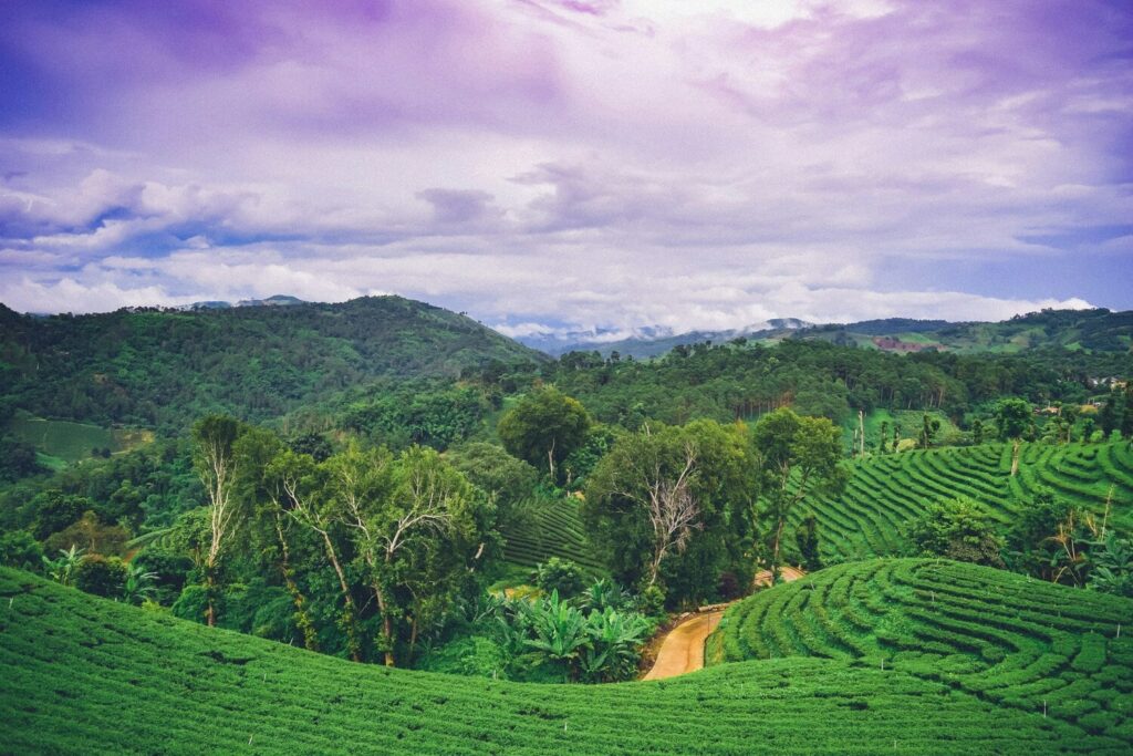 triangle or chiang rai thailande