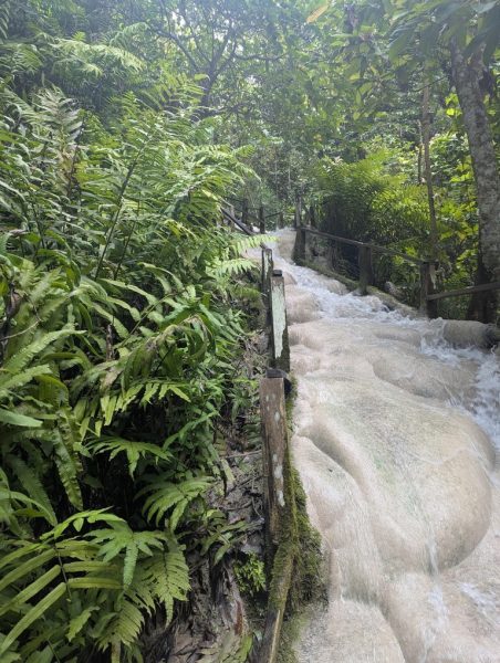 sticky waterfalls thailande