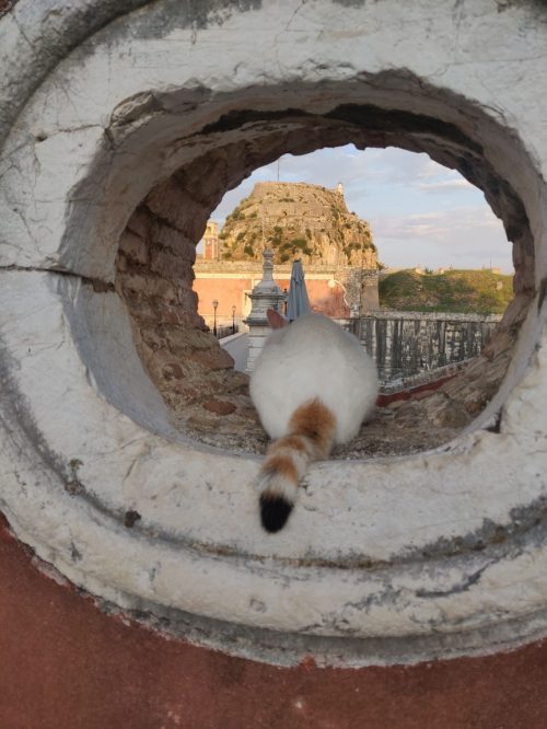 visiter ville corfou